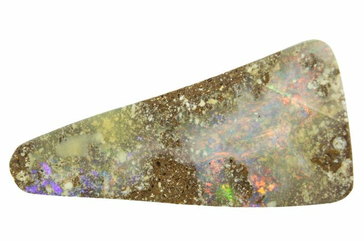 Mesmerizing Boulder Opal Specimen - Queensland, Australia #381737